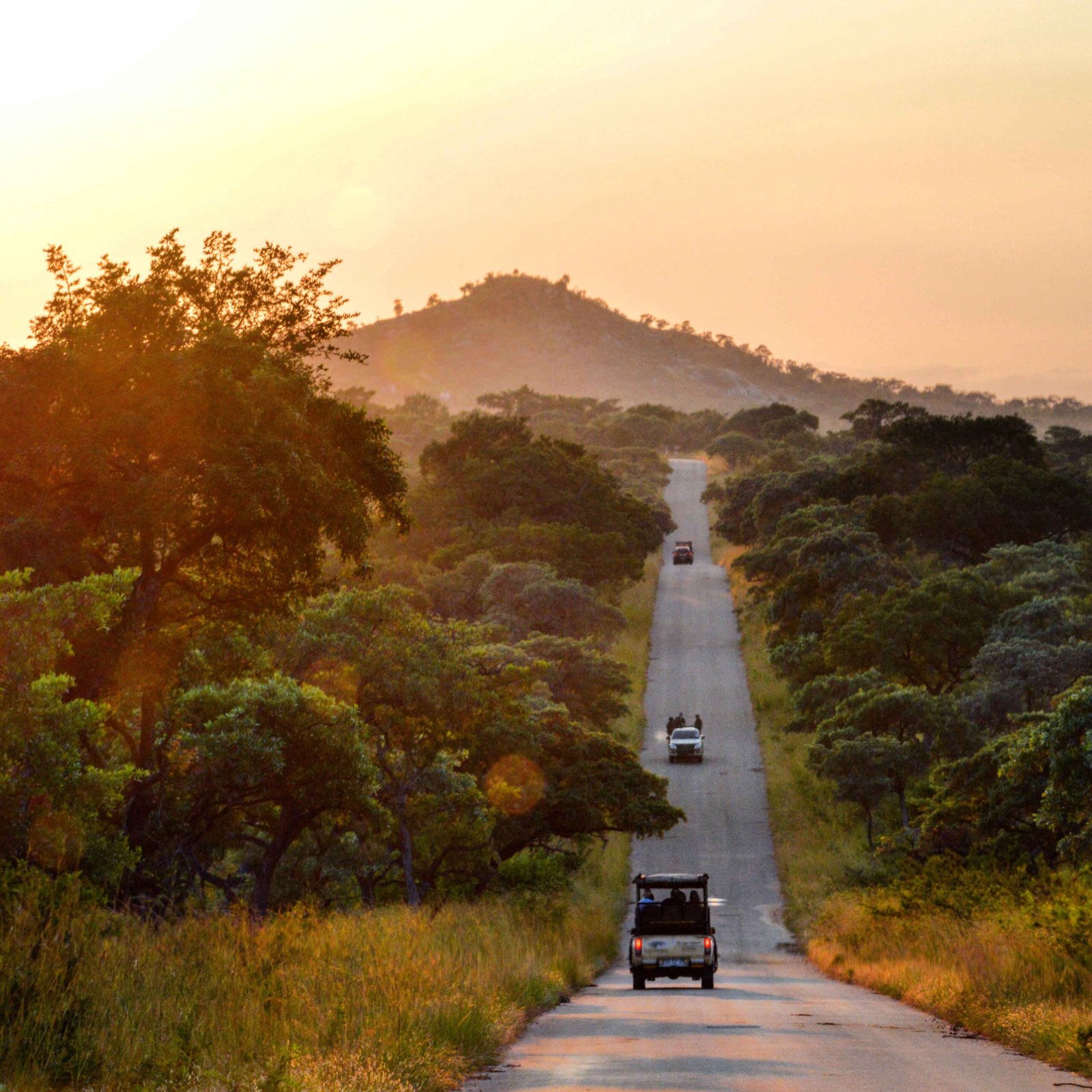 Scenic Road Trip Image